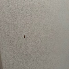 テーブル 
の画像