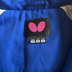 卓球butterfly上下の画像