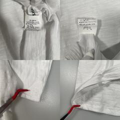 SHEENA SHEENA プレーン 半袖Tシャツ コットン ホワイト レディース【古着】【中古】の画像