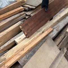 【キャンプ用🏕️】薪　マキ　まきの画像