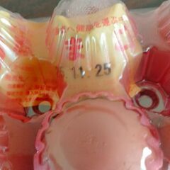 赤玉たまご　10個　①の画像