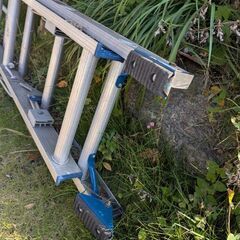 延長ハシゴの画像