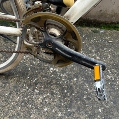 ルイガノシァッセホワイトの画像