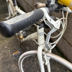 ルイガノシァッセホワイトの画像