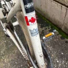 ルイガノシァッセホワイトの画像