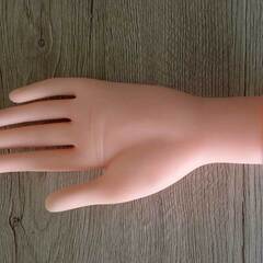 【お得セット】ネイル練習に！リアルハンド＋チップ＋ツールまとめ売りの画像