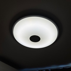 シーリングライトの画像