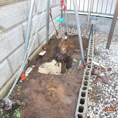 植栽を伐採した後に残った　根っこを引き抜く道具の画像