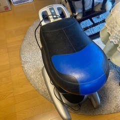 ロディオボーイの画像