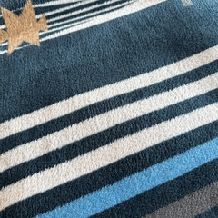 2畳用ホットカーペット
の画像