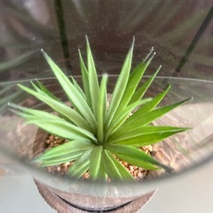 造花　観葉植物の画像