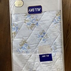 ガーゼケット　オールデイ　タオルケット　布団　肌ふとん　肌布団　かけ布団　掛け布団　夏用　シングルの画像