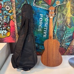 ウクレレ　セットの画像