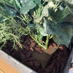 ブリキ缶　プラントセットの画像