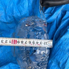 ガラス鉢の画像