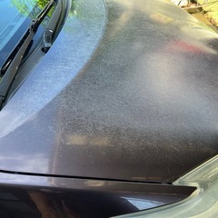 2013年 プリウス後期 Sツーリング の画像