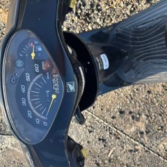 ホンダdio
の画像