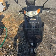 ホンダdio
の画像