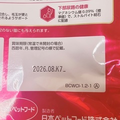 ビューティープロ Wケア 腸内環境 自然免疫の画像