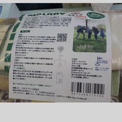 ID：240120　モルツク　北欧のゲームの画像