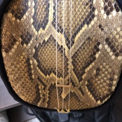 沖縄三線の画像