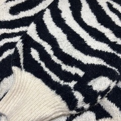 GRLゼブラ柄 Vネックニットセーター 長袖の画像