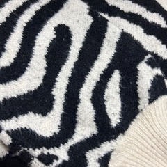 GRLゼブラ柄 Vネックニットセーター 長袖の画像