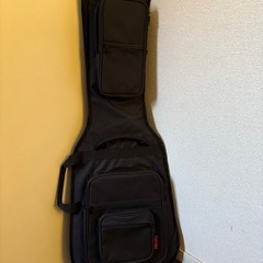 Fender player ii Telecaster の画像