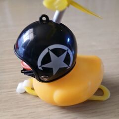 アヒル　の画像