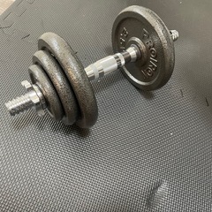 【トレーニング器具売ります】ベンチ　マット　ダンベルの画像