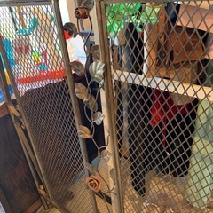 アイアン　バラモチーフ　パーテーションの画像