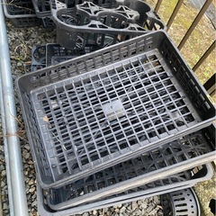 植物ケース、植物トレーの画像