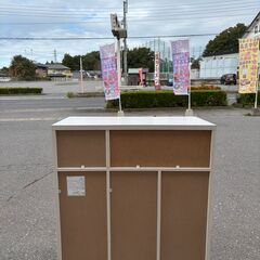 IRIS OHYAMA ペールカウンター ゴミ箱 PKT-8670 ホワイトの画像