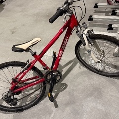 LOUIS GARNEAU ルイガノ　 LGS-J24 赤　子供用自転車の画像