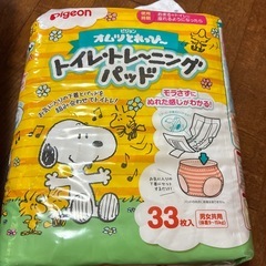 おむつ　パット　子供用　　ビッグ　ビッグだい大の画像