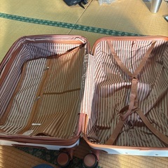 TANOBI 中型キャリーケース ホワイト/ブラウンの画像