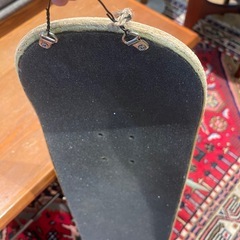 観葉植物　ビカクシダ　ベイチー　スケボー板の画像