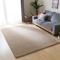 ニトリラグの画像