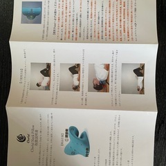 シェファル　ネック　ピロー　の画像