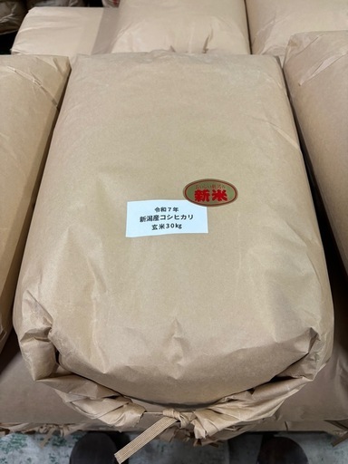 【残り3袋】新米7年産新潟コシヒカリ30kg 節水型乾田直播栽培