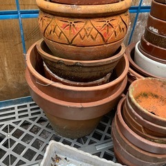 植木鉢　ガーデニング用　まとめ売りの画像