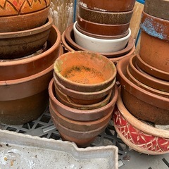 植木鉢　ガーデニング用　まとめ売りの画像