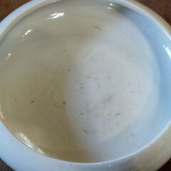 水盤 花生け 花入れ 花器 陶器 白 /HJ-0558 2Fの画像