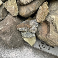 ロックガーデニング　庭石などにおすすめ、まとめての受け渡し大歓迎。　単品でも可能。
の画像