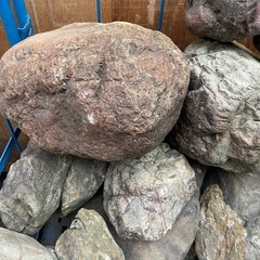ロックガーデニング　庭石などにおすすめ、まとめての受け渡し大歓迎。　単品でも可能。
の画像