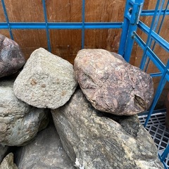 ロックガーデニング　庭石などにおすすめ、まとめての受け渡し大歓迎。　単品でも可能。
の画像