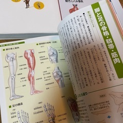 【総額5,000円分】身体・筋肉・関節辞典【美品】《マッサージ》の画像