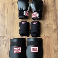 グローバルスポーツのキックボクシングセットの画像