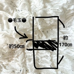 ◉難あり◉IKEA OFELIA ホワイトブランケット130x170cmの画像