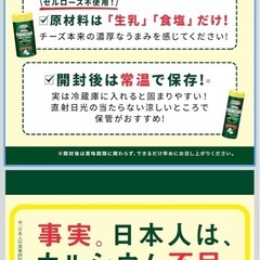 クラフト　100%パルメザン　ナチュラルチーズ　の画像